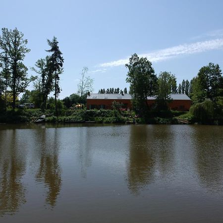 Florennes Gite Neuf 150 M2 Devant Un Grand Lac Prive De 2 Hectares Poissonneux Au Milieu Des Bois Zewnętrze zdjęcie
