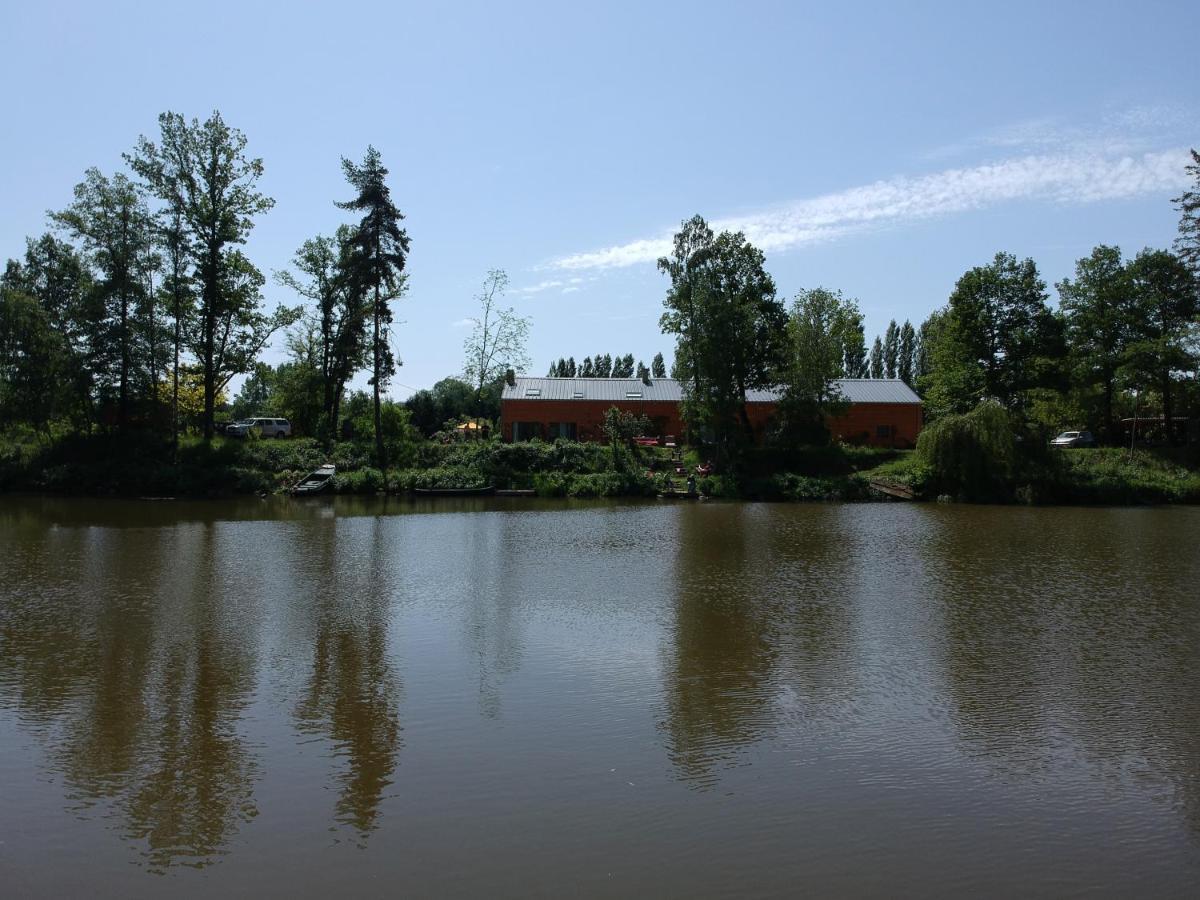 Florennes Gite Neuf 150 M2 Devant Un Grand Lac Prive De 2 Hectares Poissonneux Au Milieu Des Bois Zewnętrze zdjęcie