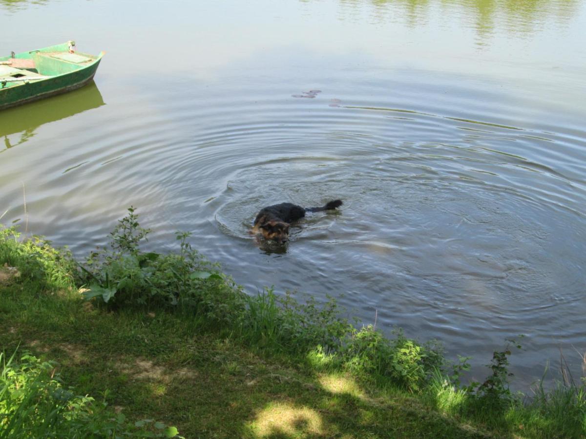 Florennes Gite Neuf 150 M2 Devant Un Grand Lac Prive De 2 Hectares Poissonneux Au Milieu Des Bois Zewnętrze zdjęcie
