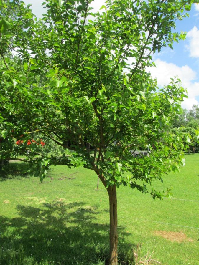 Florennes Gite Neuf 150 M2 Devant Un Grand Lac Prive De 2 Hectares Poissonneux Au Milieu Des Bois Zewnętrze zdjęcie
