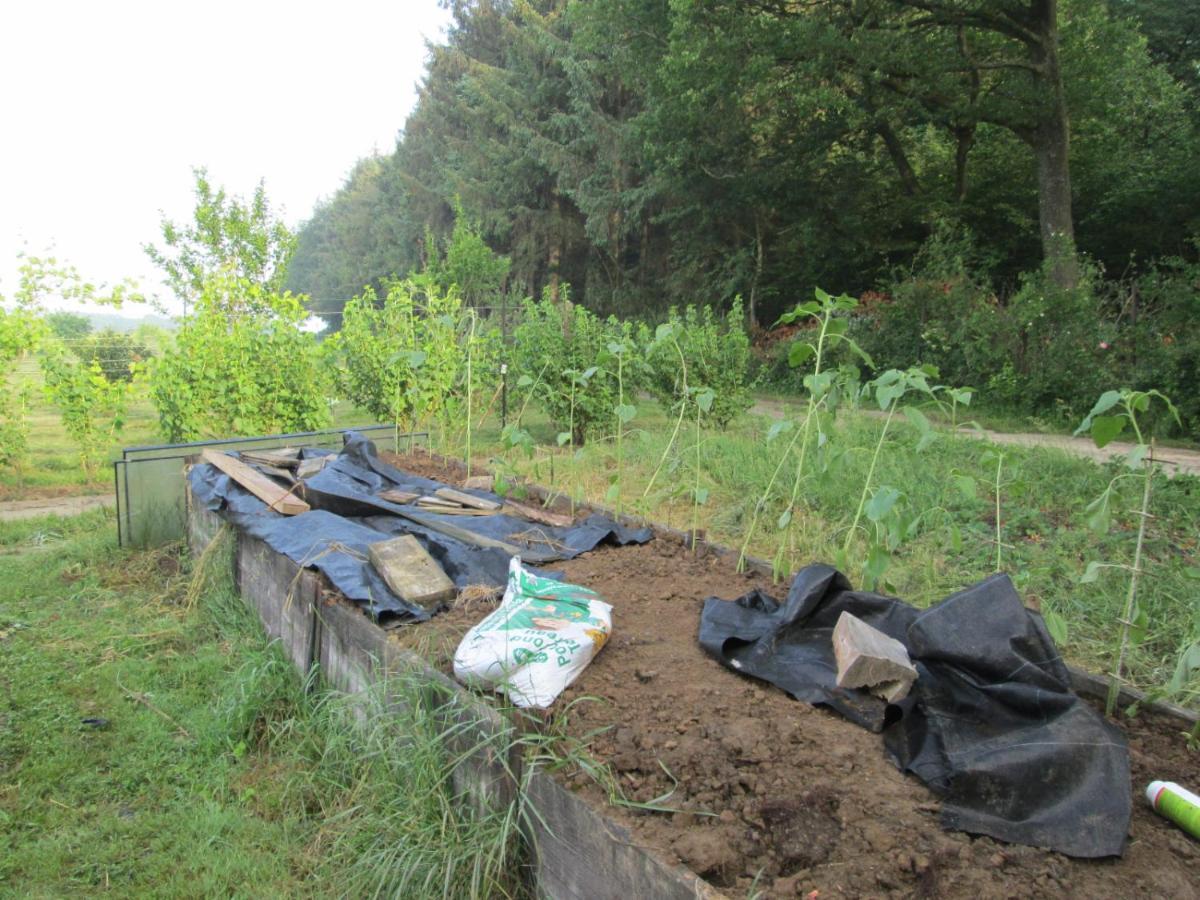 Florennes Gite Neuf 150 M2 Devant Un Grand Lac Prive De 2 Hectares Poissonneux Au Milieu Des Bois Zewnętrze zdjęcie
