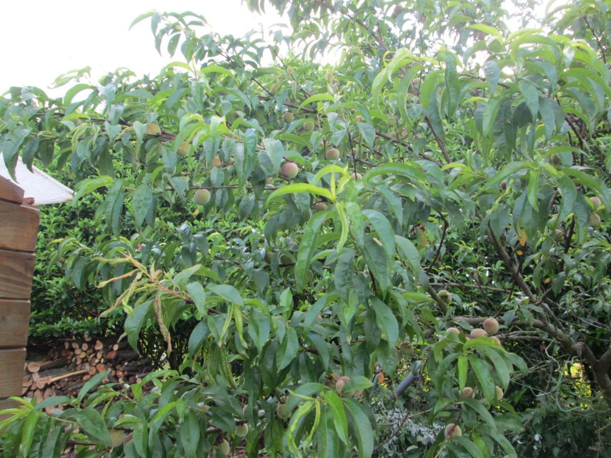 Florennes Gite Neuf 150 M2 Devant Un Grand Lac Prive De 2 Hectares Poissonneux Au Milieu Des Bois Zewnętrze zdjęcie