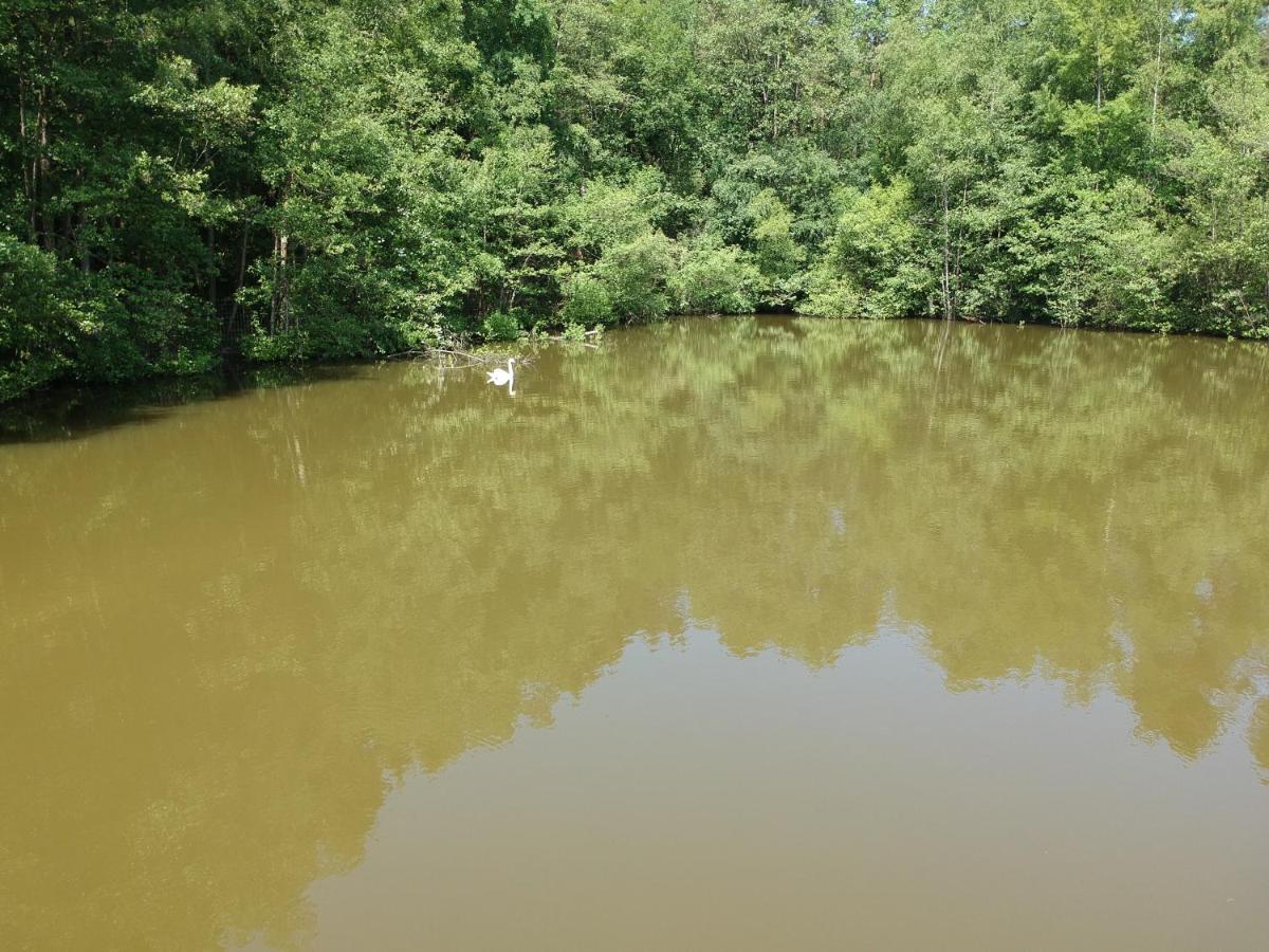Florennes Gite Neuf 150 M2 Devant Un Grand Lac Prive De 2 Hectares Poissonneux Au Milieu Des Bois Zewnętrze zdjęcie