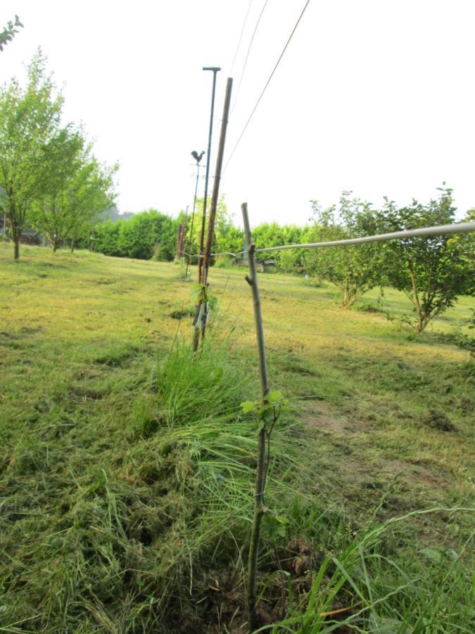 Florennes Gite Neuf 150 M2 Devant Un Grand Lac Prive De 2 Hectares Poissonneux Au Milieu Des Bois Zewnętrze zdjęcie
