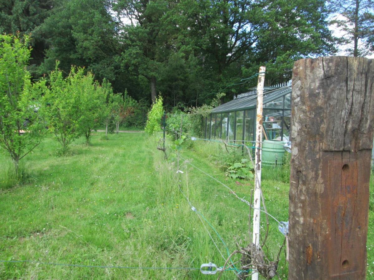 Florennes Gite Neuf 150 M2 Devant Un Grand Lac Prive De 2 Hectares Poissonneux Au Milieu Des Bois Zewnętrze zdjęcie