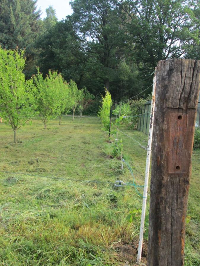 Florennes Gite Neuf 150 M2 Devant Un Grand Lac Prive De 2 Hectares Poissonneux Au Milieu Des Bois Zewnętrze zdjęcie