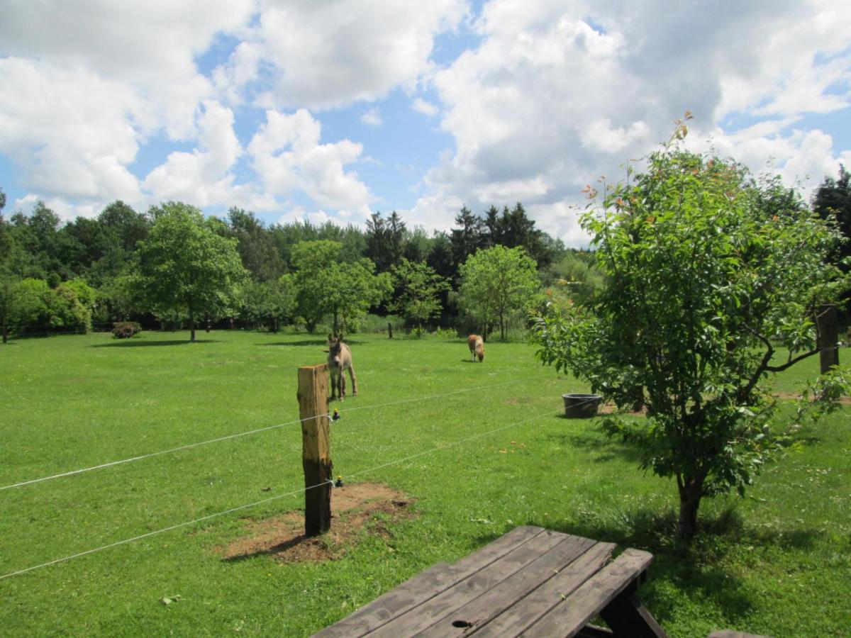 Florennes Gite Neuf 150 M2 Devant Un Grand Lac Prive De 2 Hectares Poissonneux Au Milieu Des Bois Zewnętrze zdjęcie