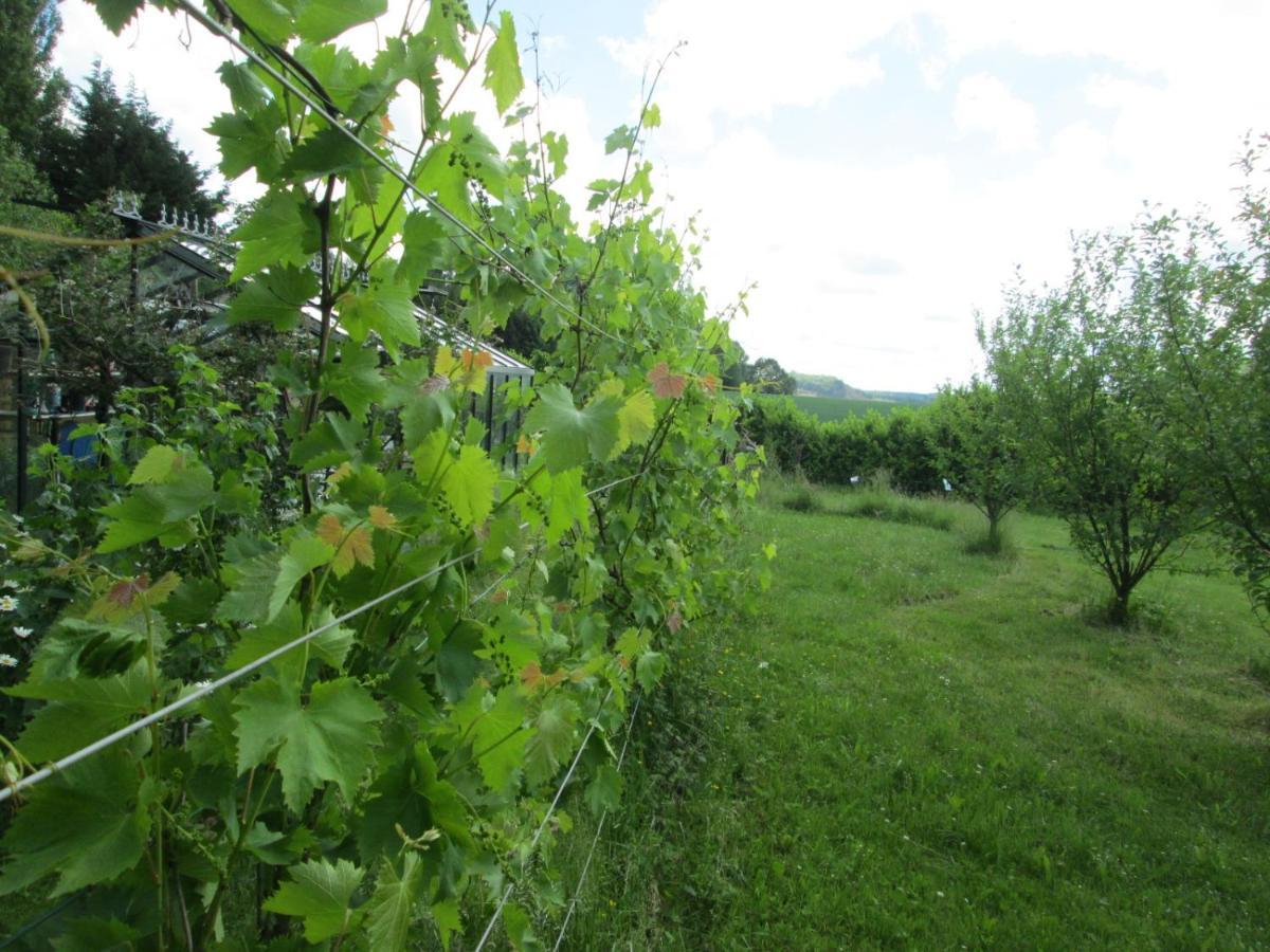 Florennes Gite Neuf 150 M2 Devant Un Grand Lac Prive De 2 Hectares Poissonneux Au Milieu Des Bois Zewnętrze zdjęcie