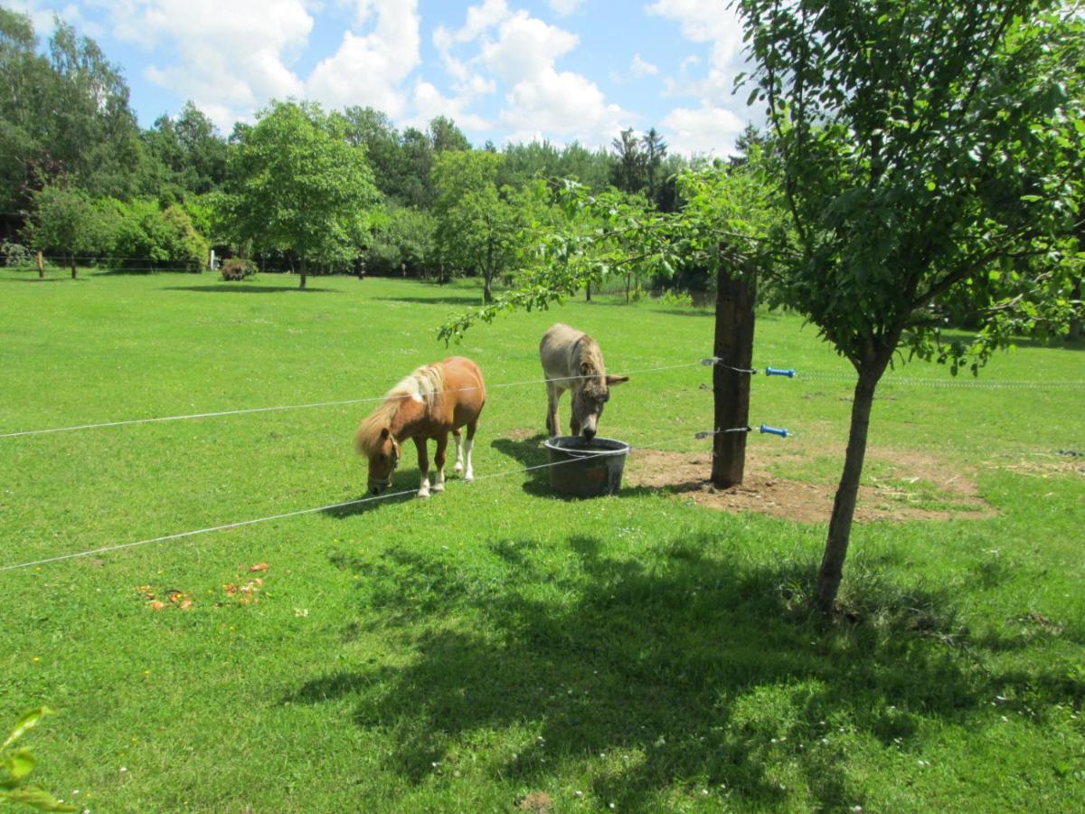 Florennes Gite Neuf 150 M2 Devant Un Grand Lac Prive De 2 Hectares Poissonneux Au Milieu Des Bois Zewnętrze zdjęcie