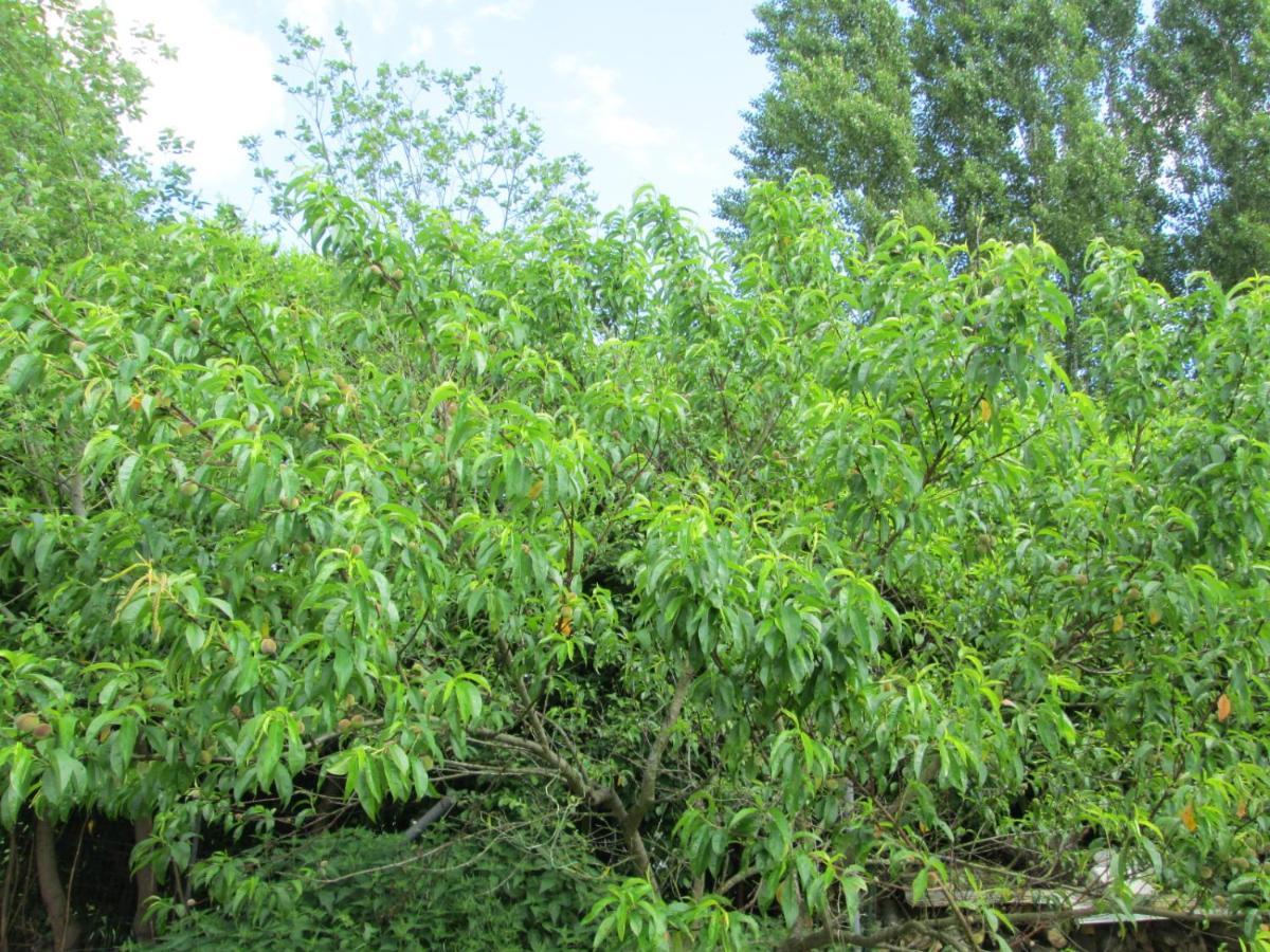 Florennes Gite Neuf 150 M2 Devant Un Grand Lac Prive De 2 Hectares Poissonneux Au Milieu Des Bois Zewnętrze zdjęcie
