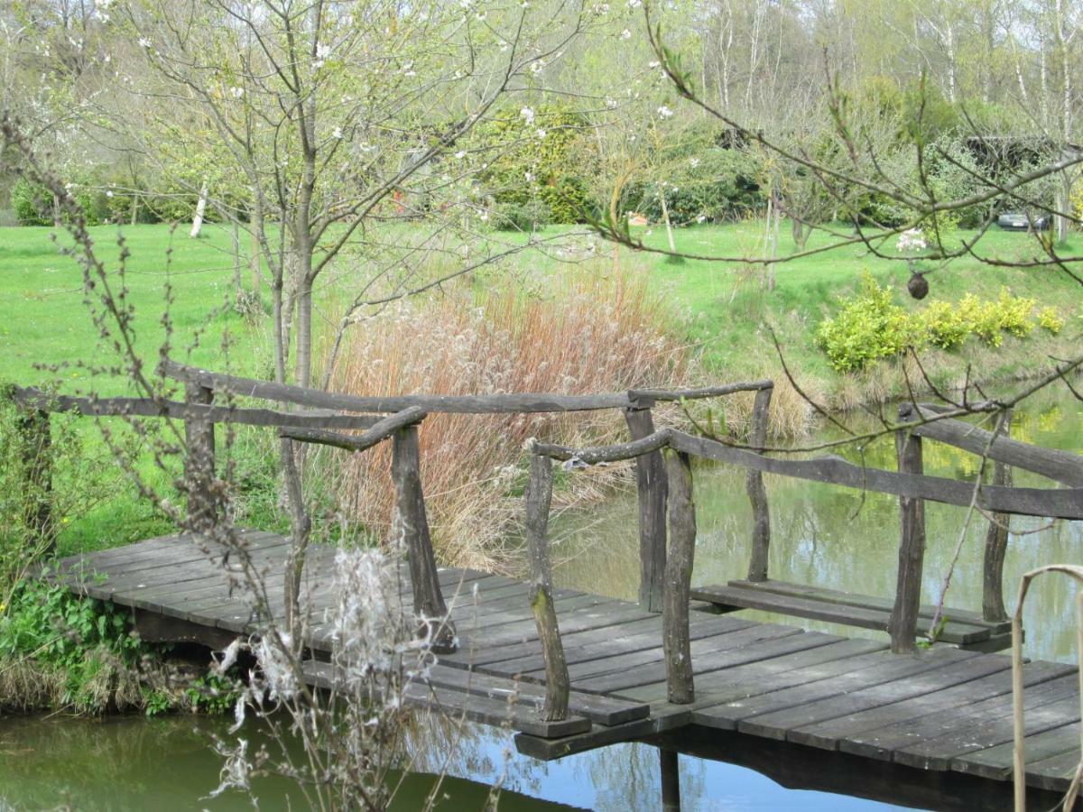 Florennes Gite Neuf 150 M2 Devant Un Grand Lac Prive De 2 Hectares Poissonneux Au Milieu Des Bois Zewnętrze zdjęcie