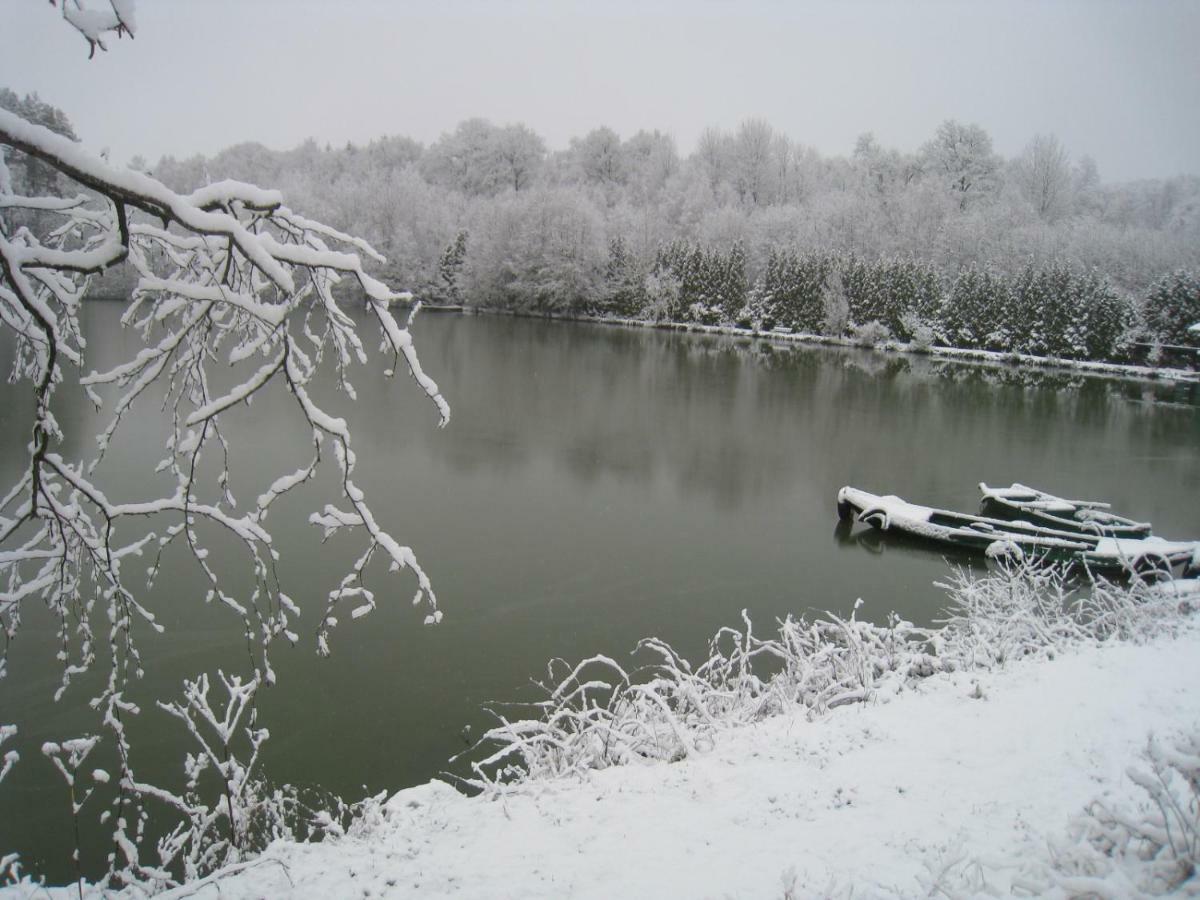 Florennes Gite Neuf 150 M2 Devant Un Grand Lac Prive De 2 Hectares Poissonneux Au Milieu Des Bois Zewnętrze zdjęcie