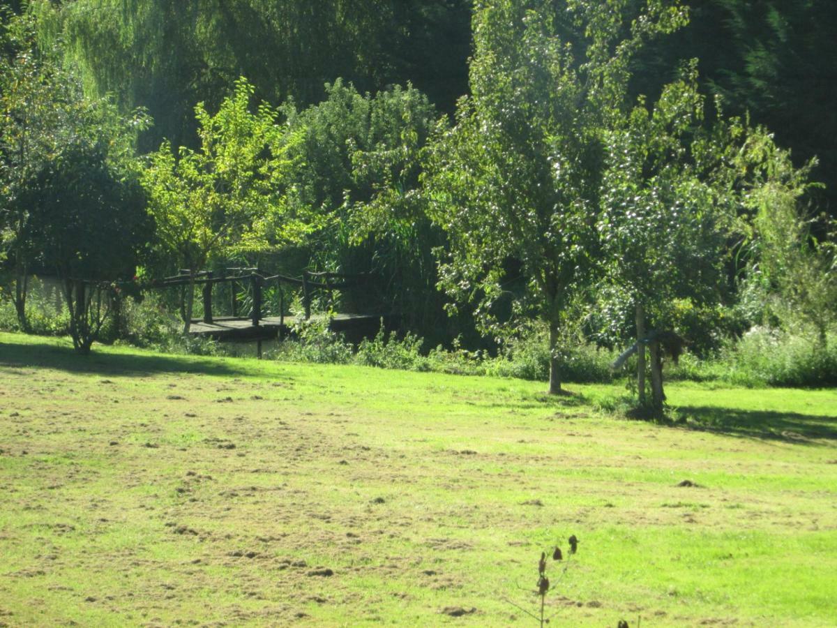 Florennes Gite Neuf 150 M2 Devant Un Grand Lac Prive De 2 Hectares Poissonneux Au Milieu Des Bois Zewnętrze zdjęcie