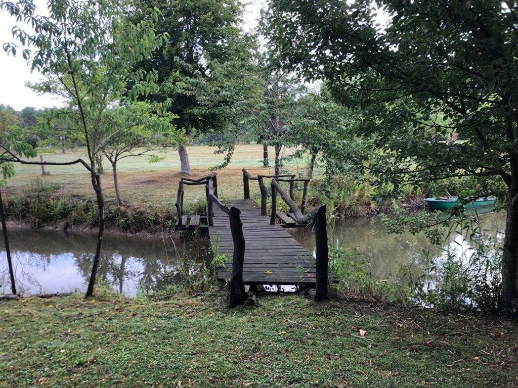 Florennes Gite Neuf 150 M2 Devant Un Grand Lac Prive De 2 Hectares Poissonneux Au Milieu Des Bois Zewnętrze zdjęcie